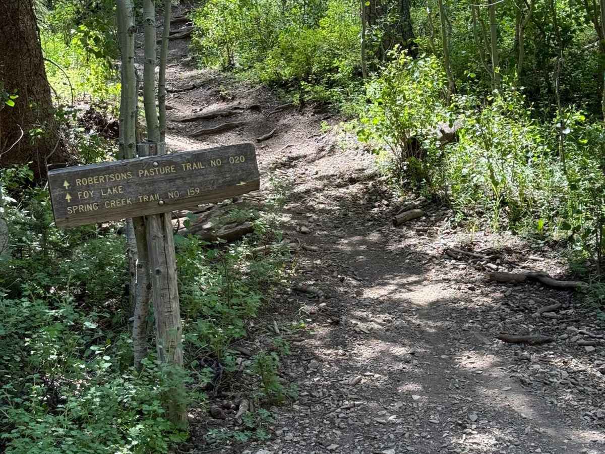 Spring Creek Trail No. 159 trail photo