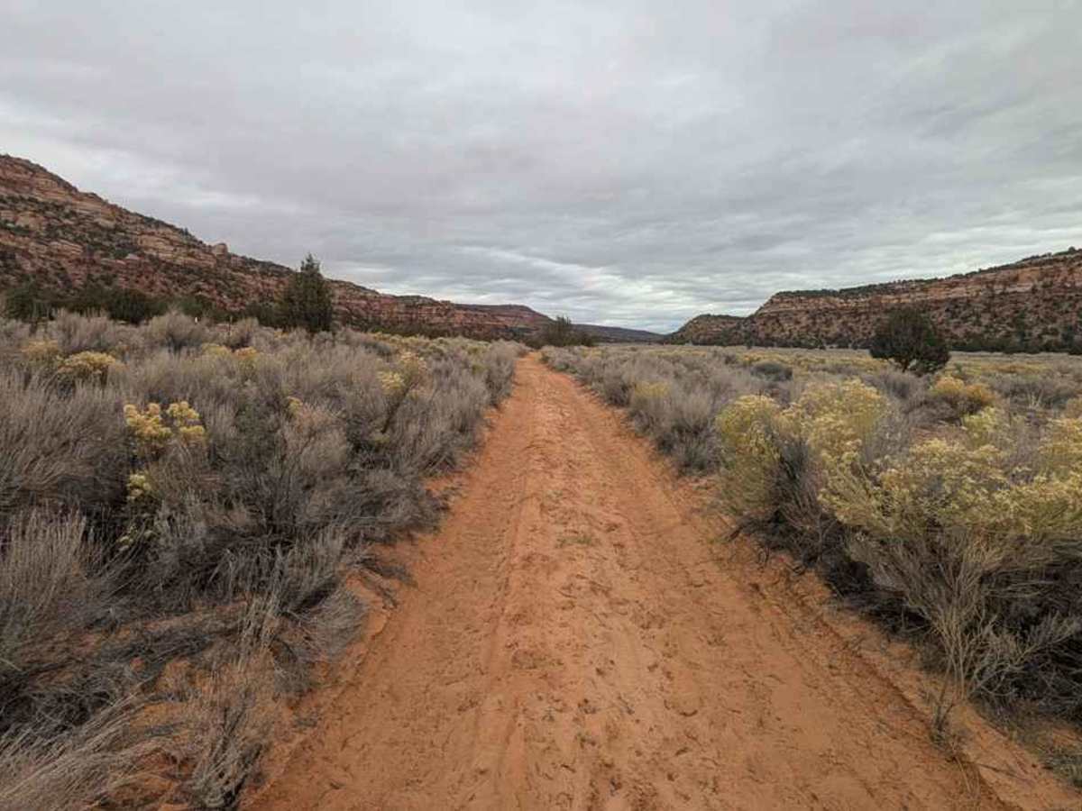 Rose Canyon - BLM M4156 photo 4