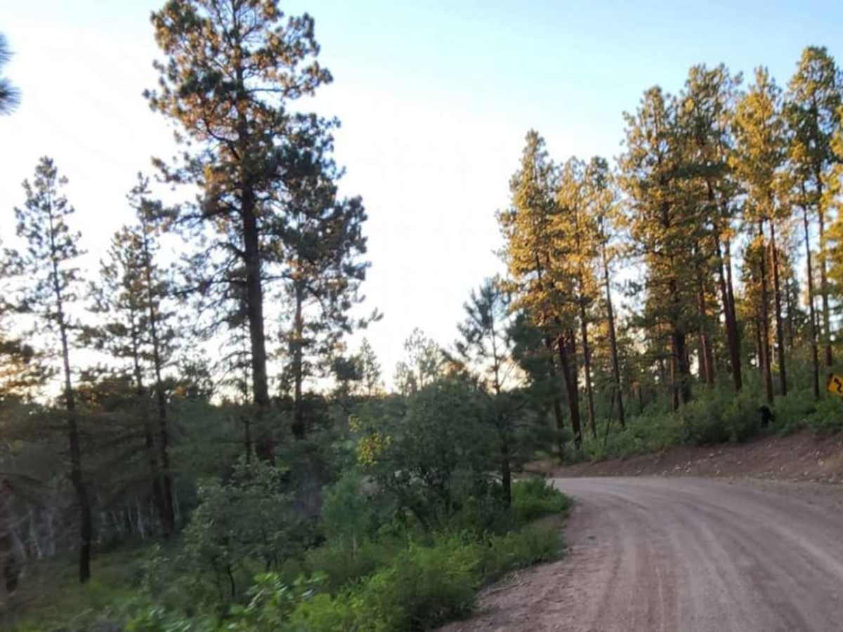 Boggy Draw Road | Off-Road Trail Maps, Difficulty, Trail Status | onX ...