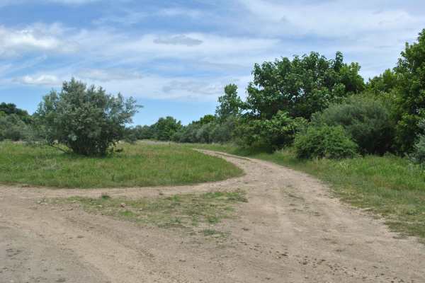 23B