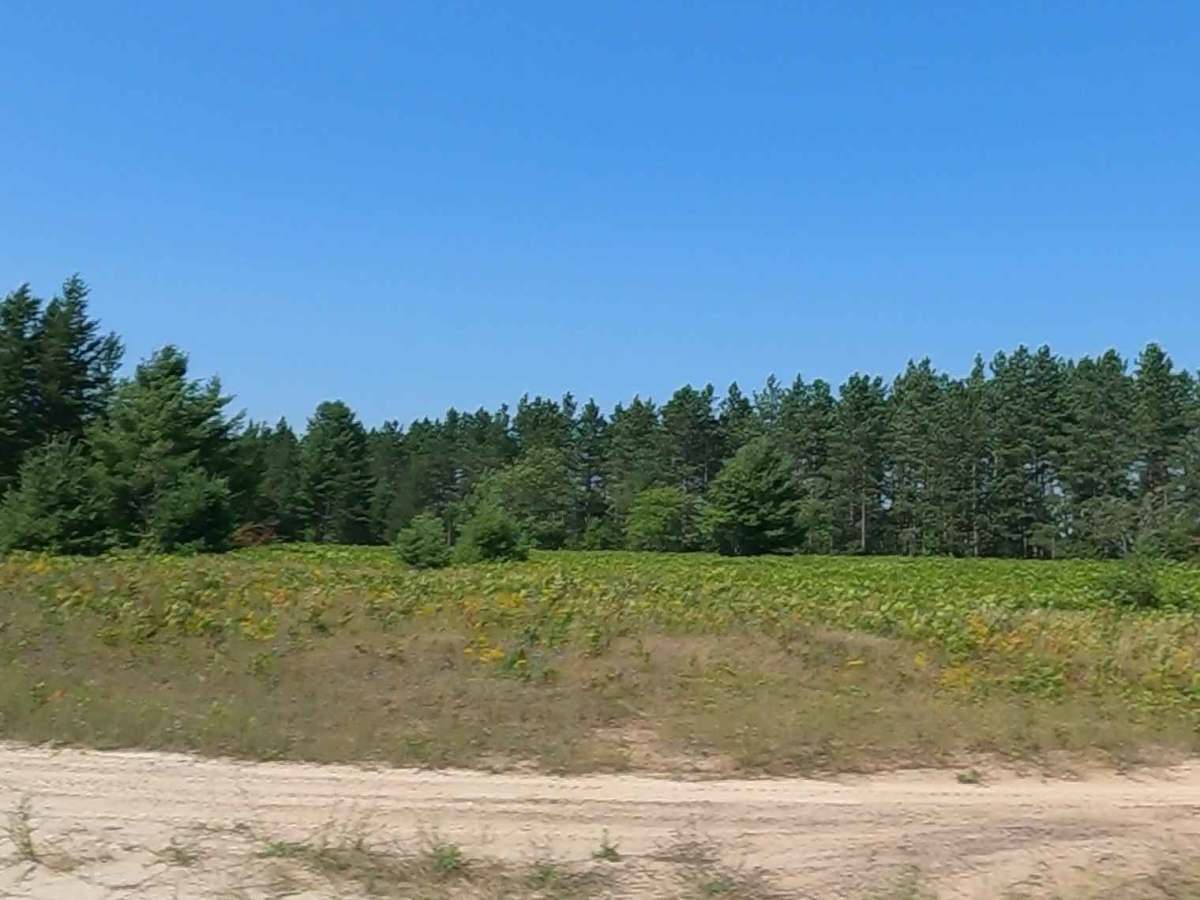 Cataract Road photo 5