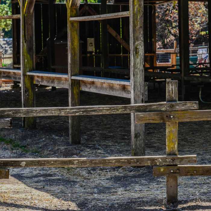 Near Rogue Valley + Wildcat Loop