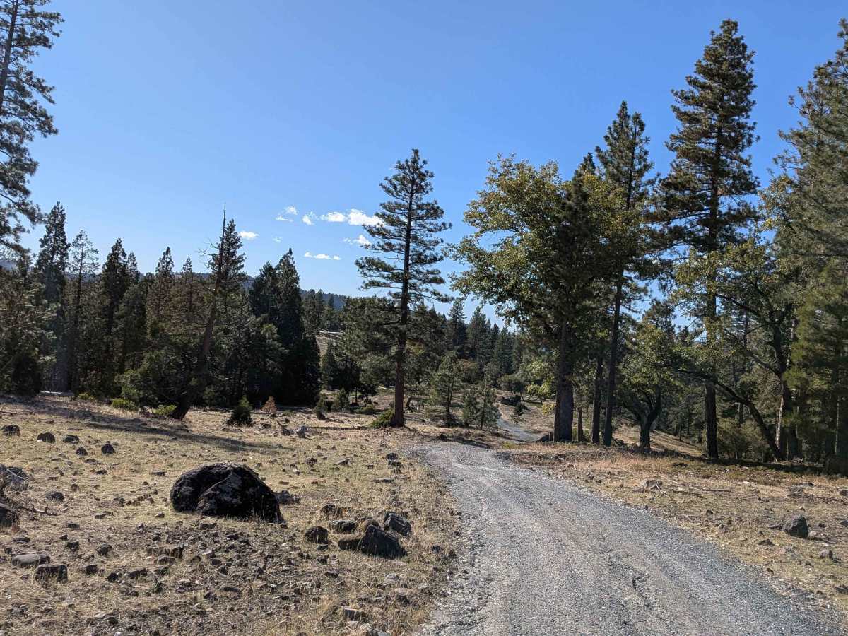  Strawberry Peak - FS 4N39 photo 2