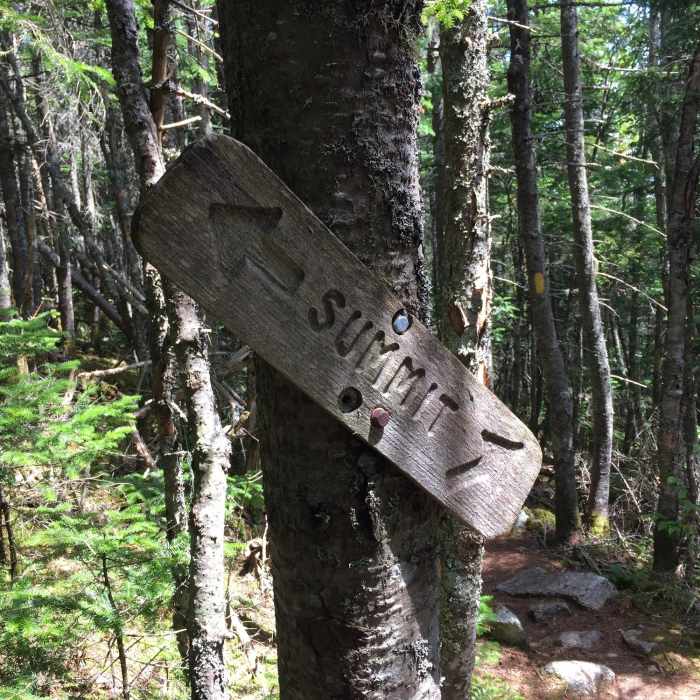 Near Mt. Tecumseh Trail
