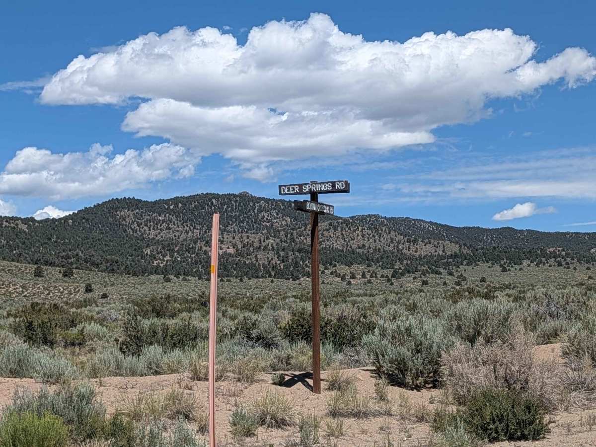 Deer Springs Road photo 2