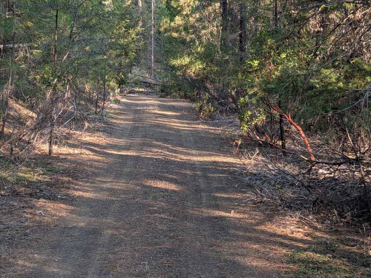Post Road - FS 1N29 photo 3
