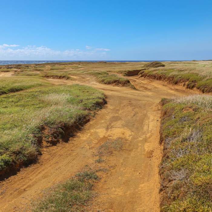 Near Mahana Green Sand Beach Hike Near Mahana Green Sand Beach Hike