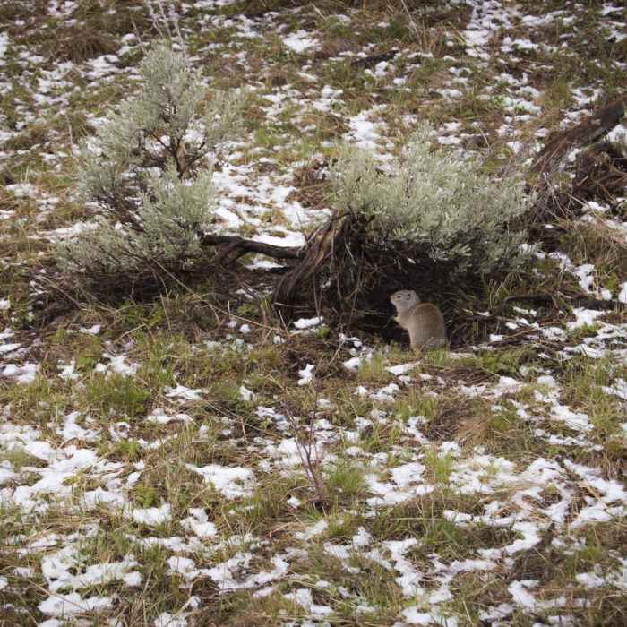 Near Coyote Creek Trail
