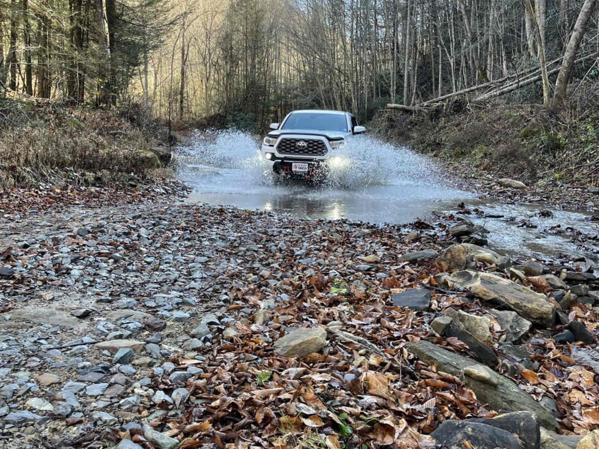 Beech Fork photo 2