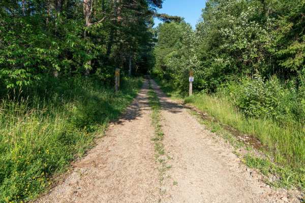Gordon Forest Road