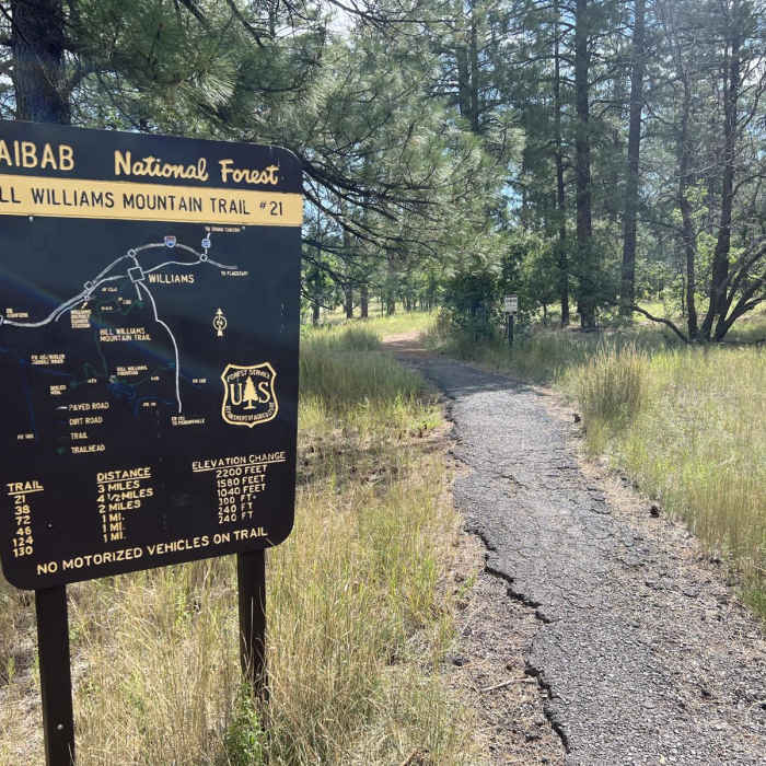 Near Bill Williams Mountain Trail
