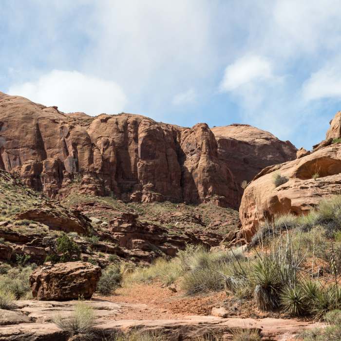 Hog Canyon above the alcove. Near Hog Canyon Trail