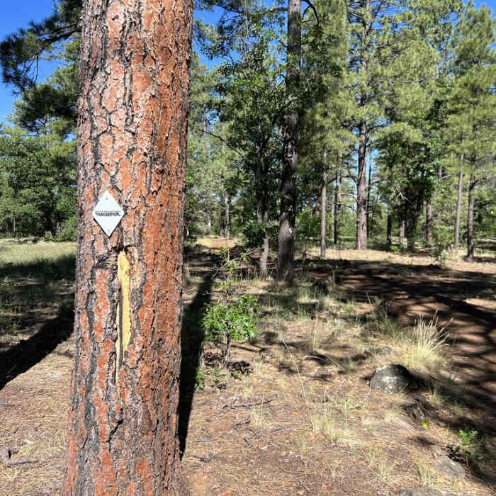 Near Woodland Outerloop Near Woodland Outerloop