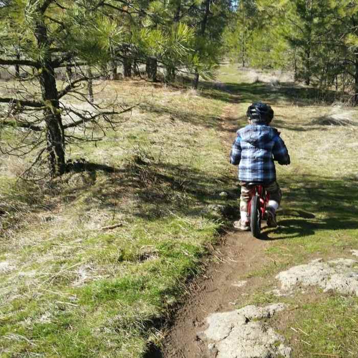 Near Best of Palisades Park