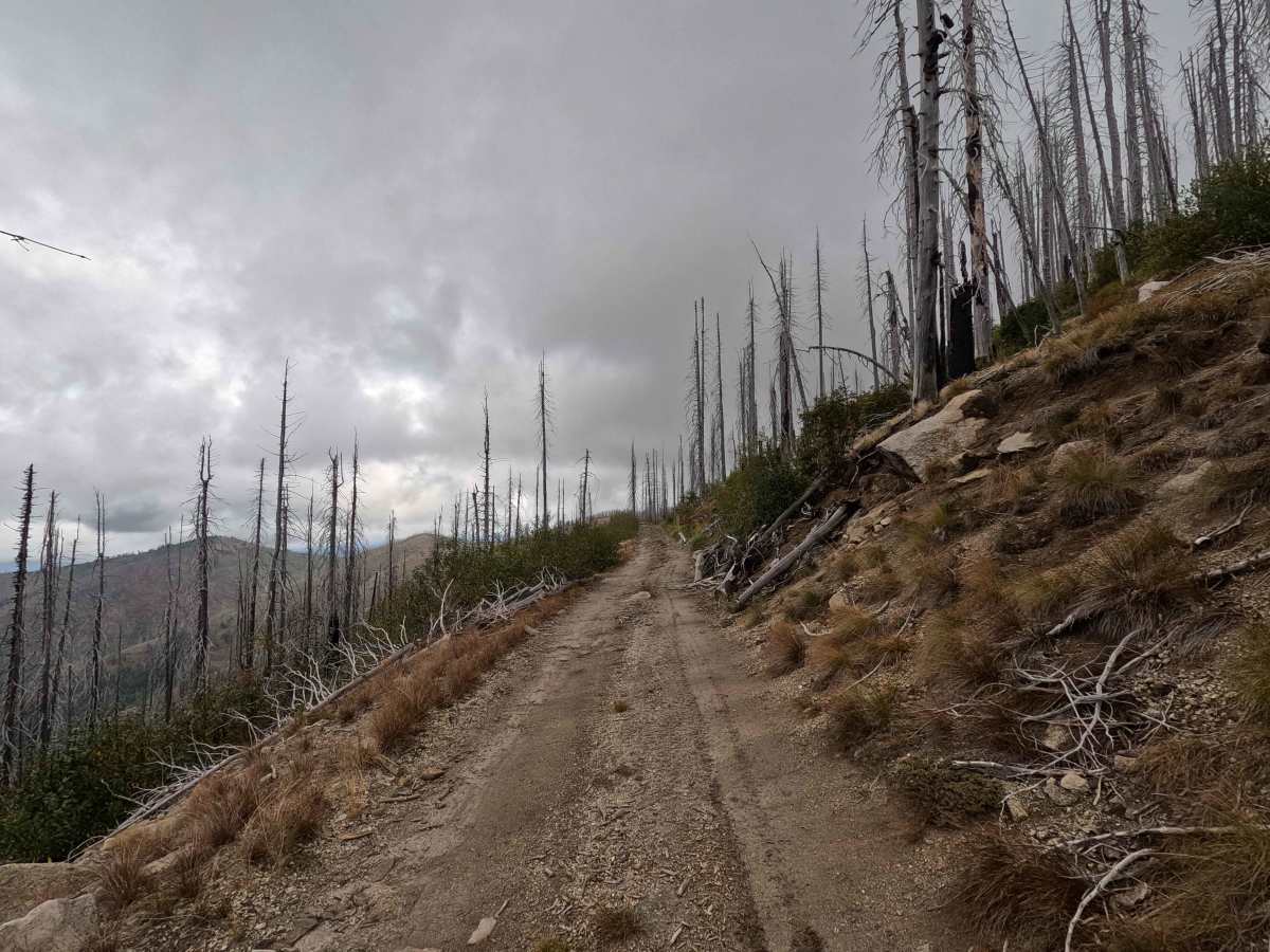 South Baldy Lookout - FS 5080306 photo 6