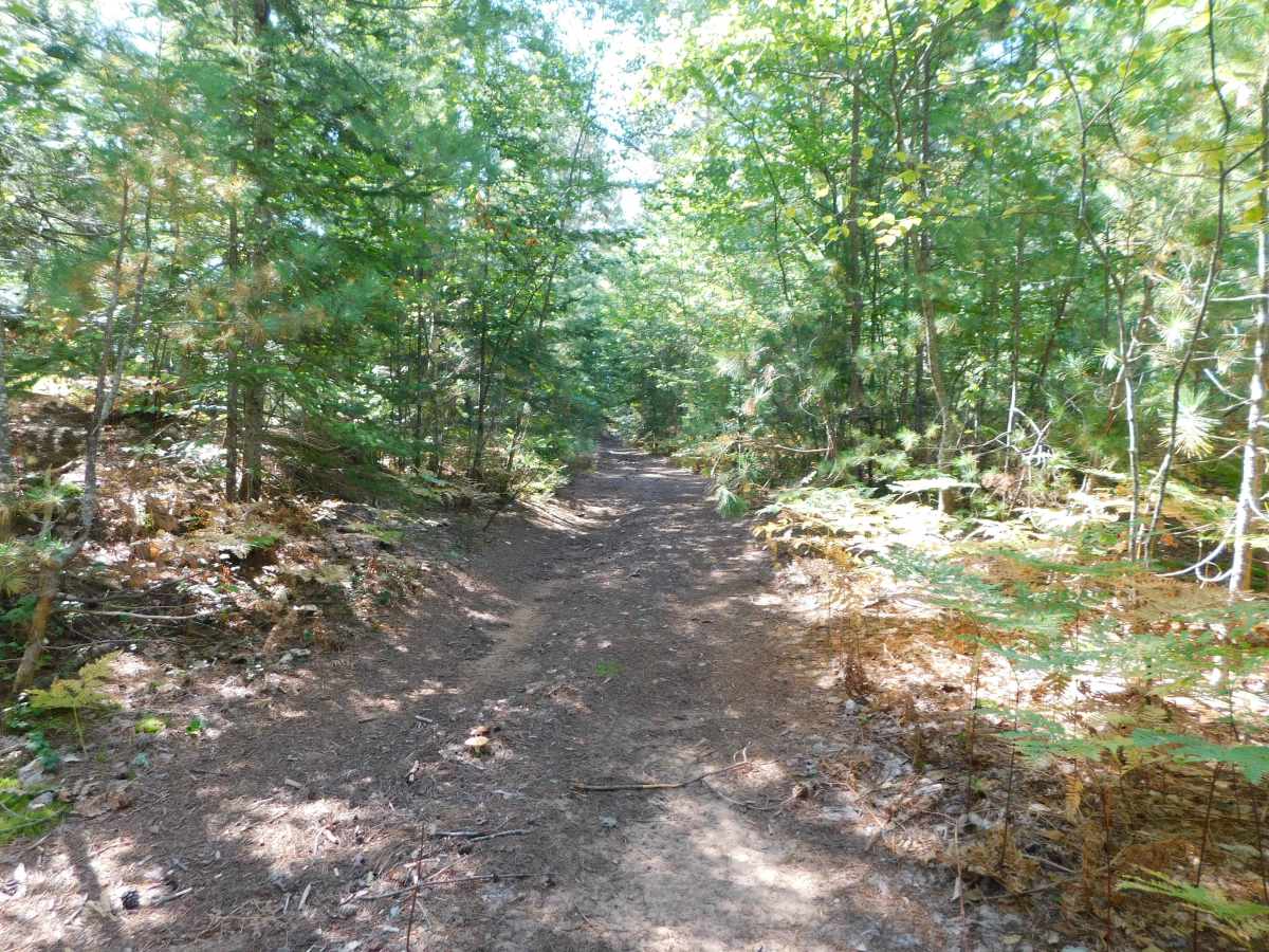 North Country Trail photo 6
