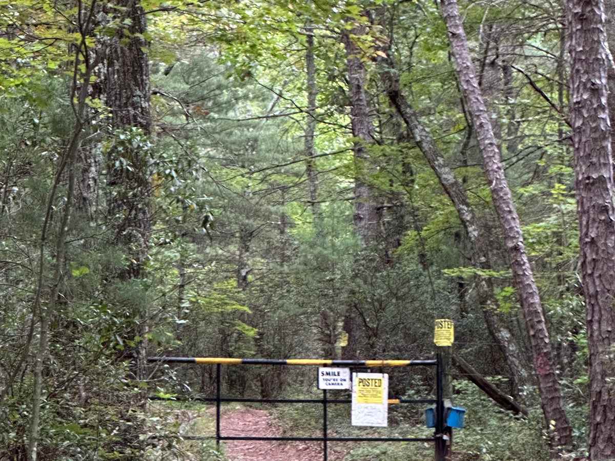 Fulk Mountain photo 4