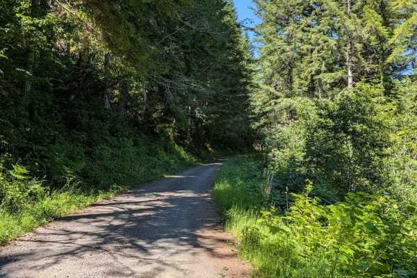 Yachats River Road - FS 54