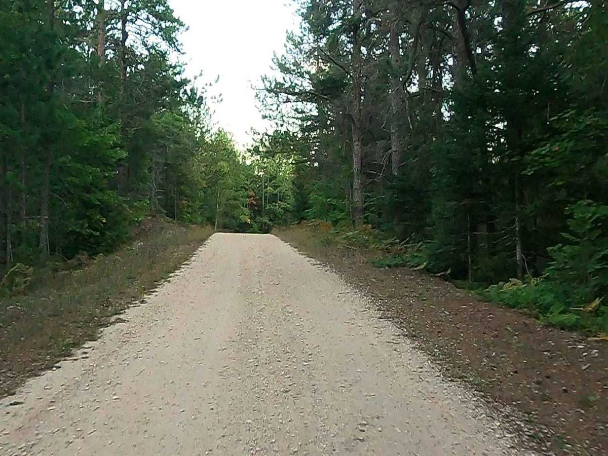 Camp Faunce - FS 3136 photo 6