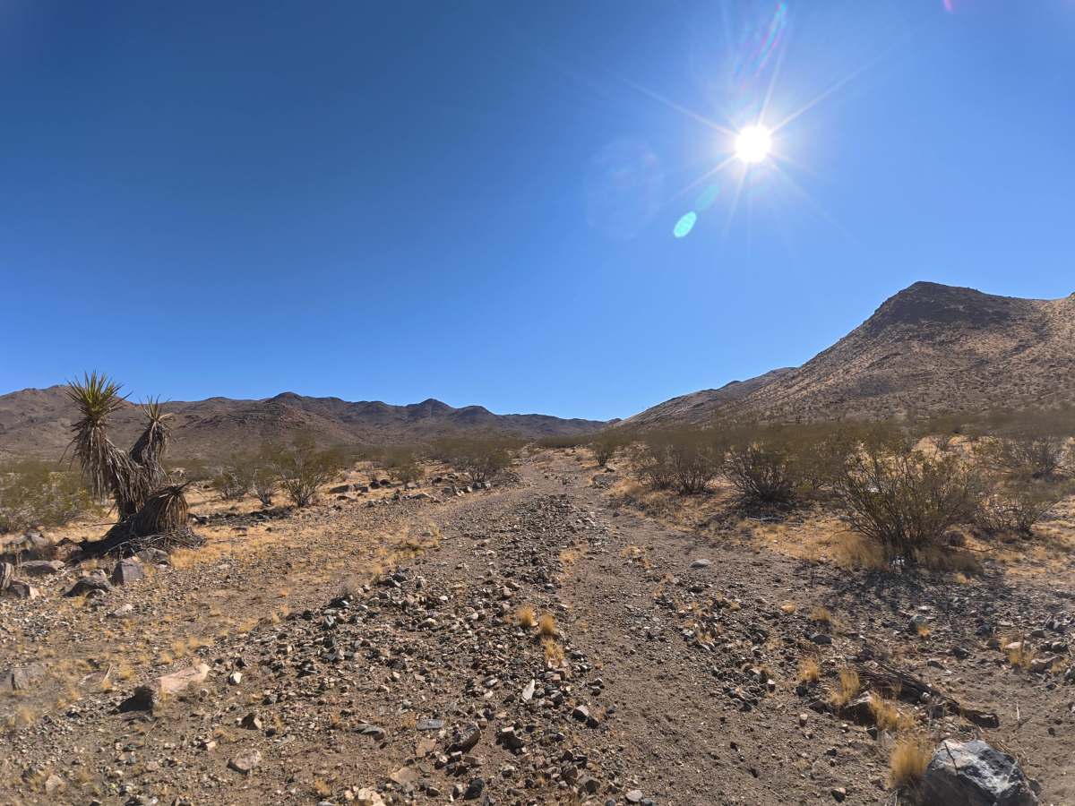 BLM 6604 Break-Off photo 5