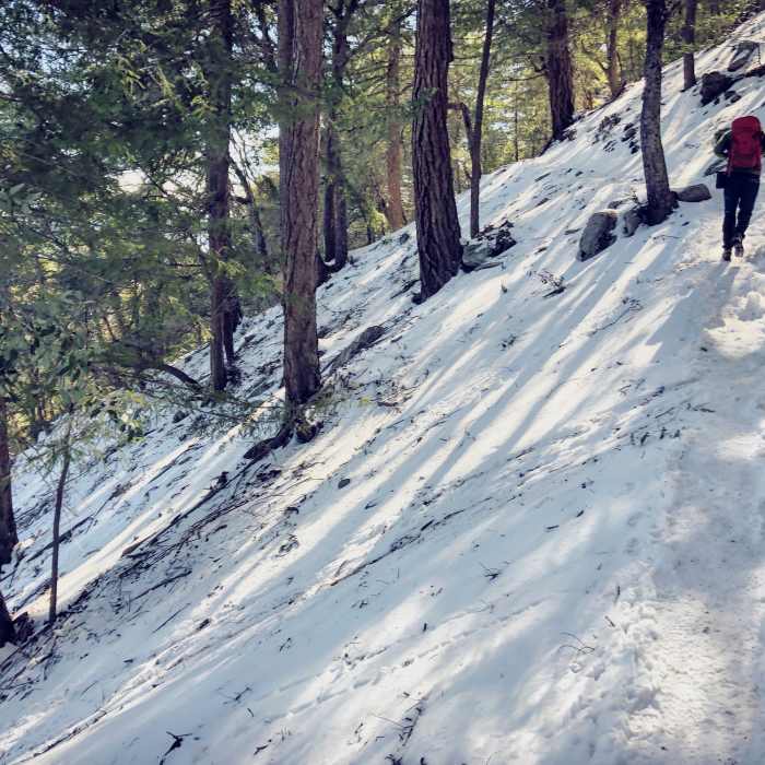 Near Sturtevant Trail #11W16