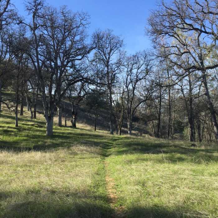 Near Frog Pond Trail