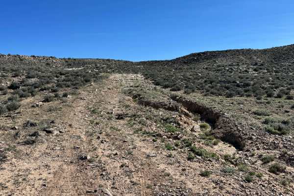 Molly Hogans Overlook