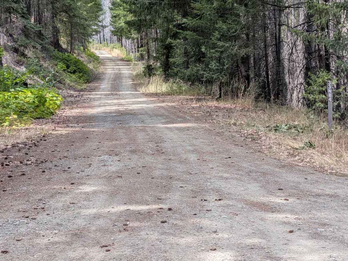 Soldier 10 Road - FS 33N84 trail photo