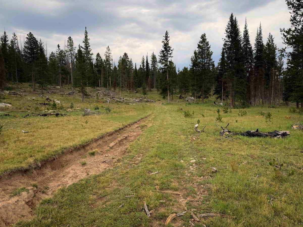 Broadhead Loop - FS 306  photo 4