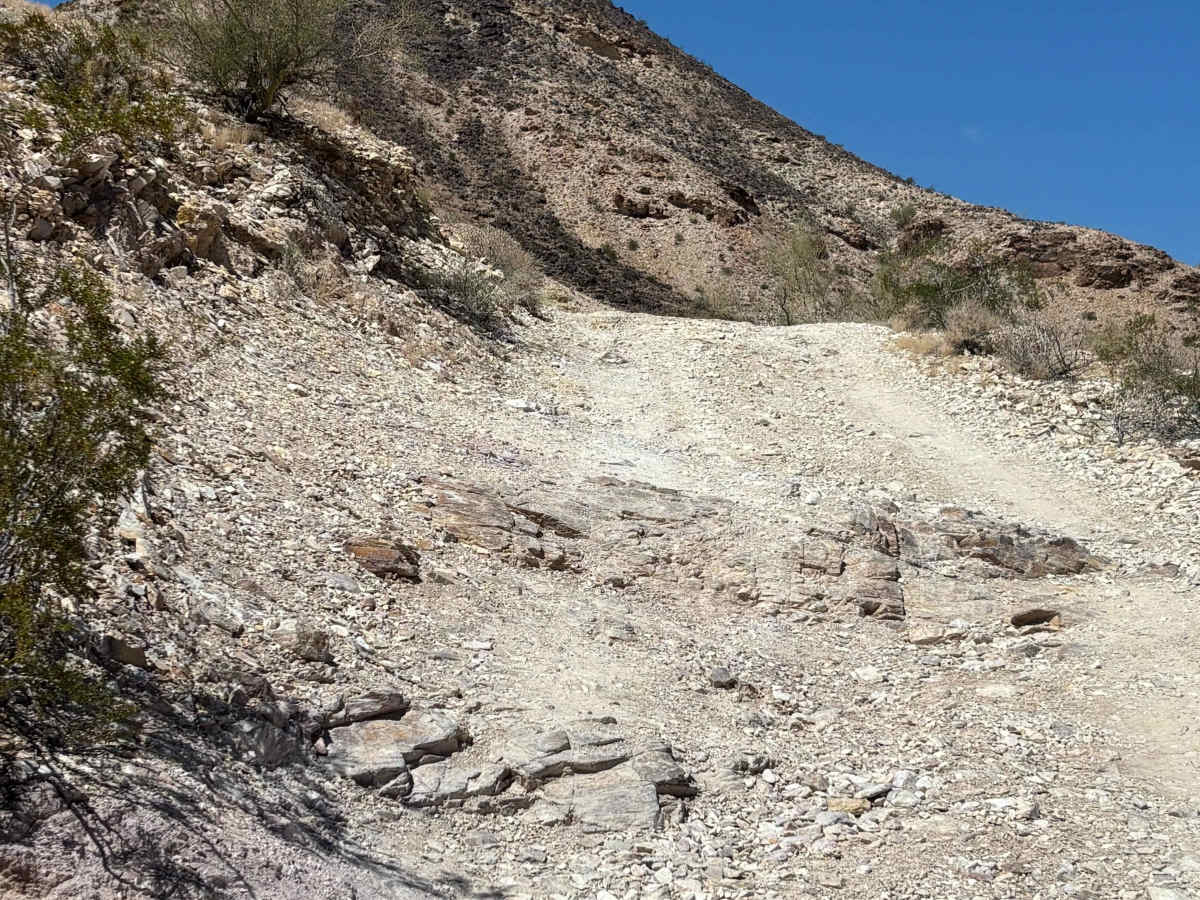 BLM 0130 photo 2