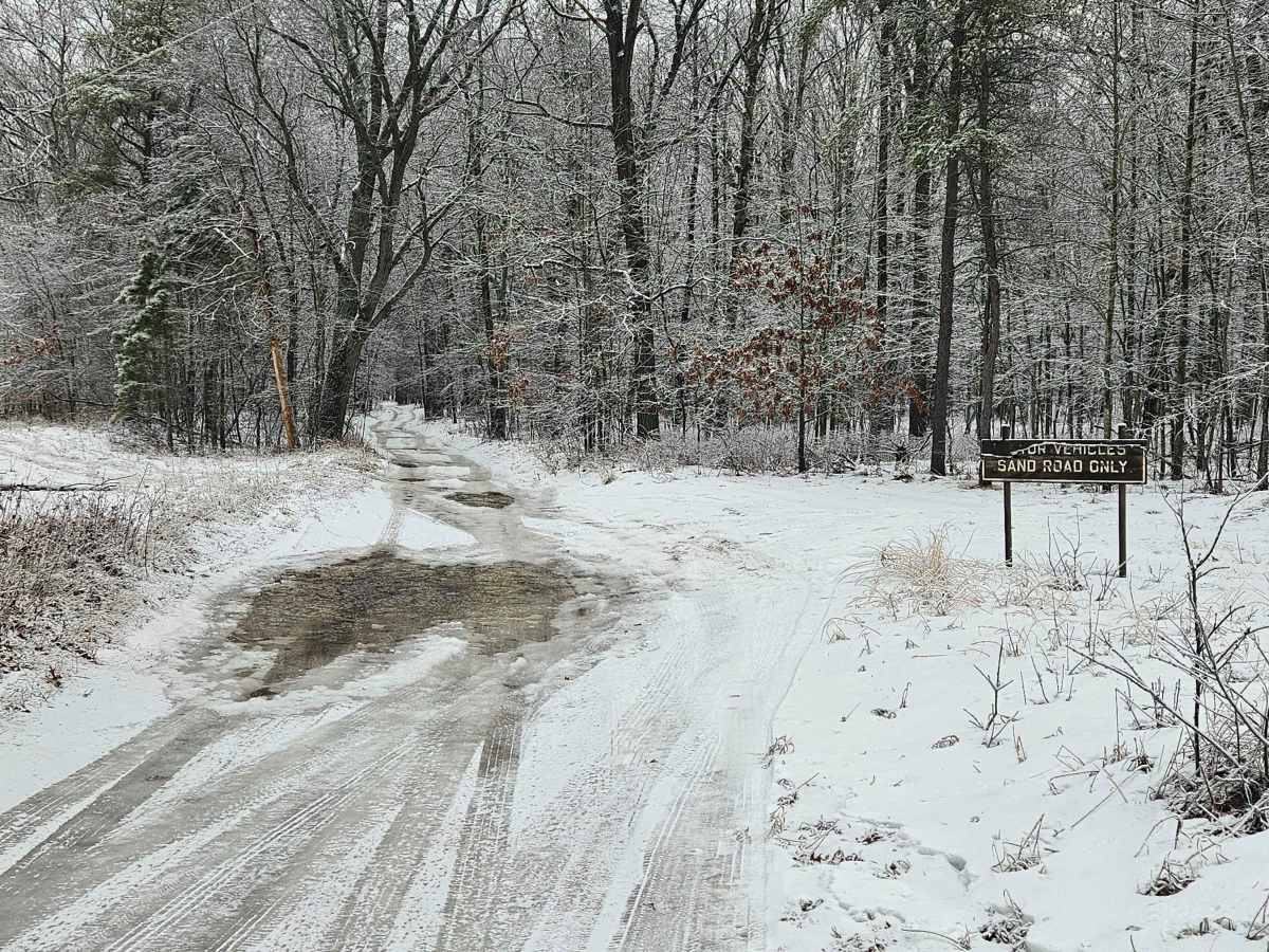 Old Sand Road trail photo