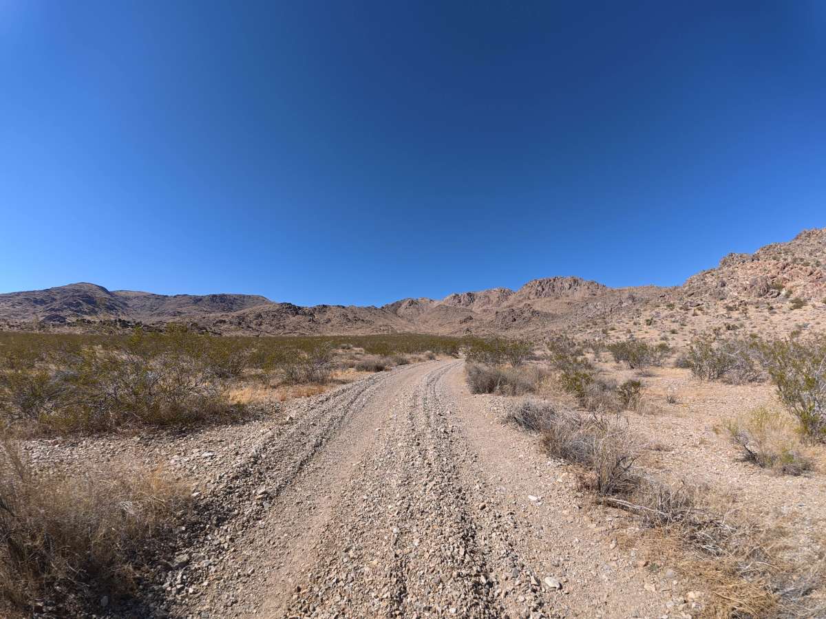 BLM SV2671 photo 6