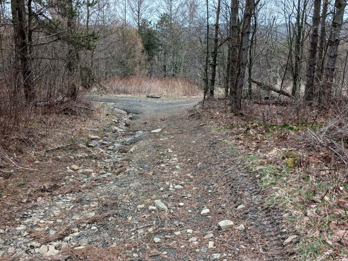 Trail 4P - Rock Run Recreation Area photo 3