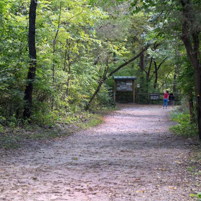 Near French Canyon Near French Canyon