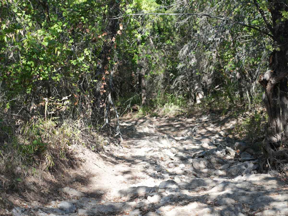 Upper T.S.O.B. photo 6
