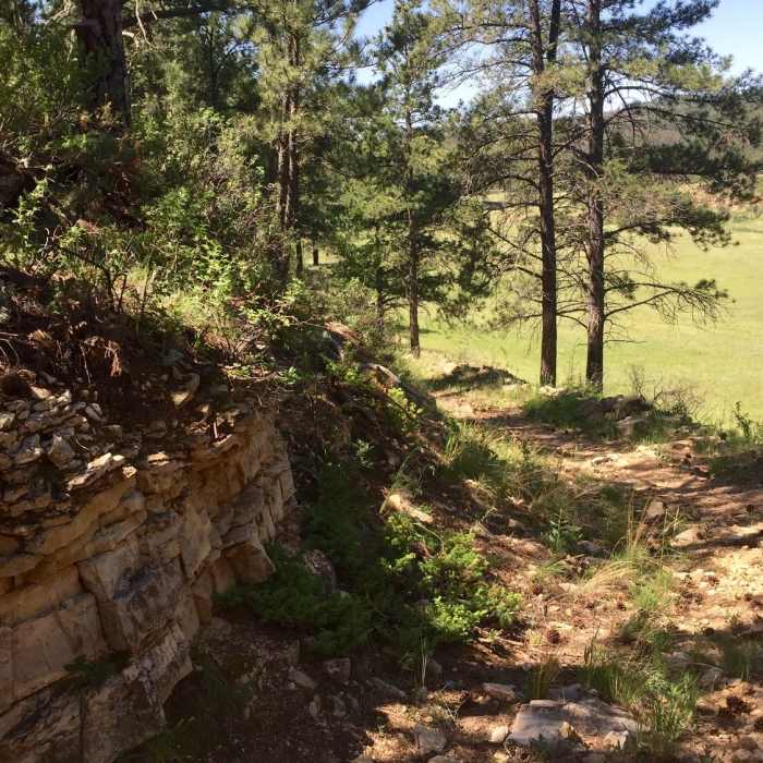 Near Cold Brook Canyon Trail