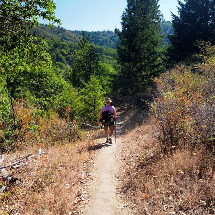 Near Canyon Vista Trail