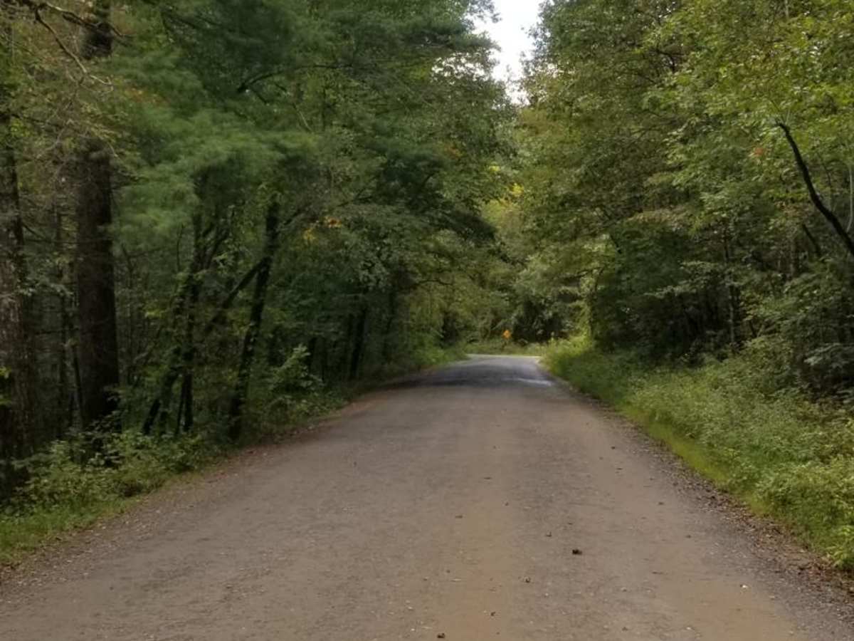 Enoree River Southside Trail System trail photo