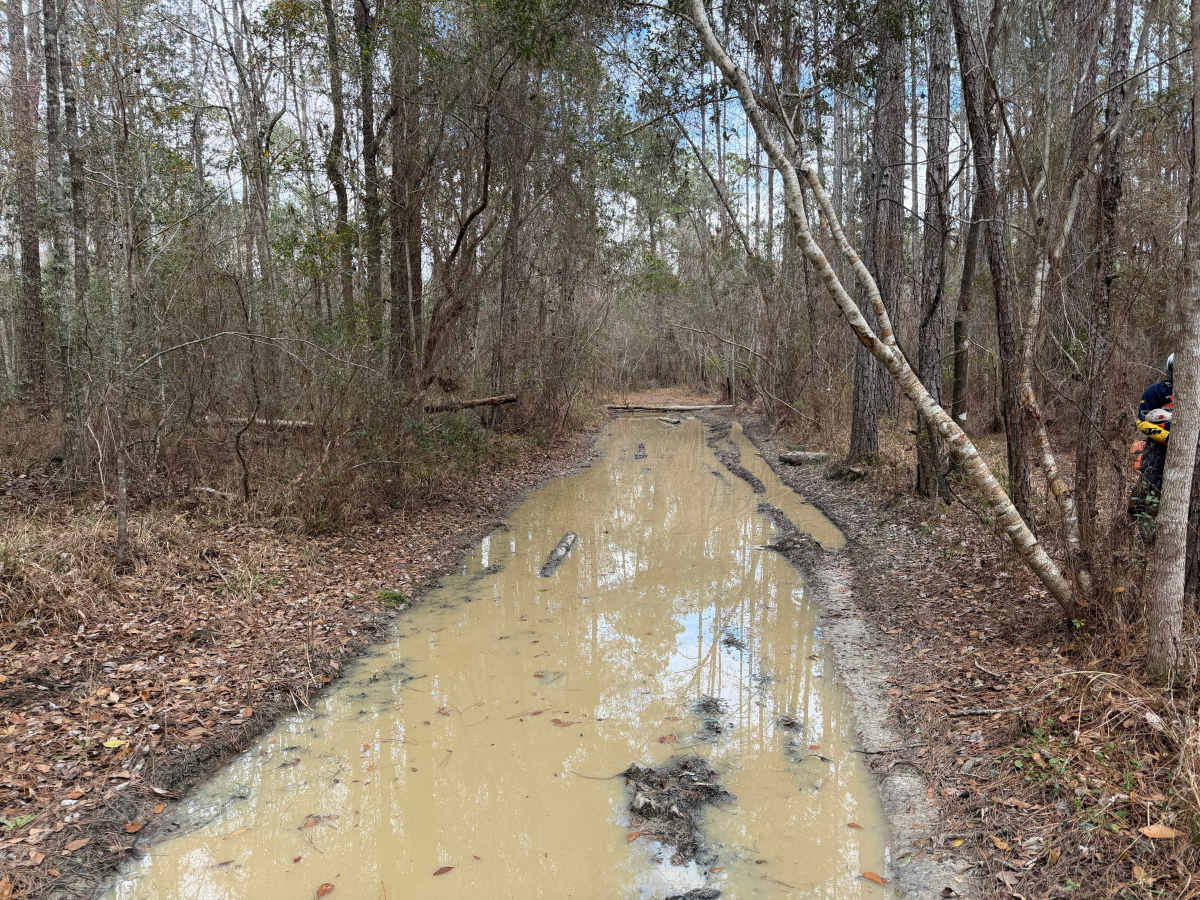 Big Cypress Swamp South East Loop photo 5