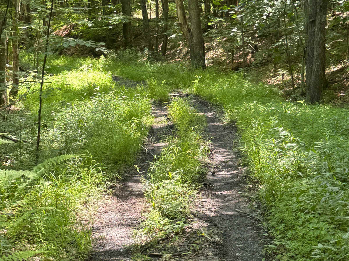 Trail 44 photo 2