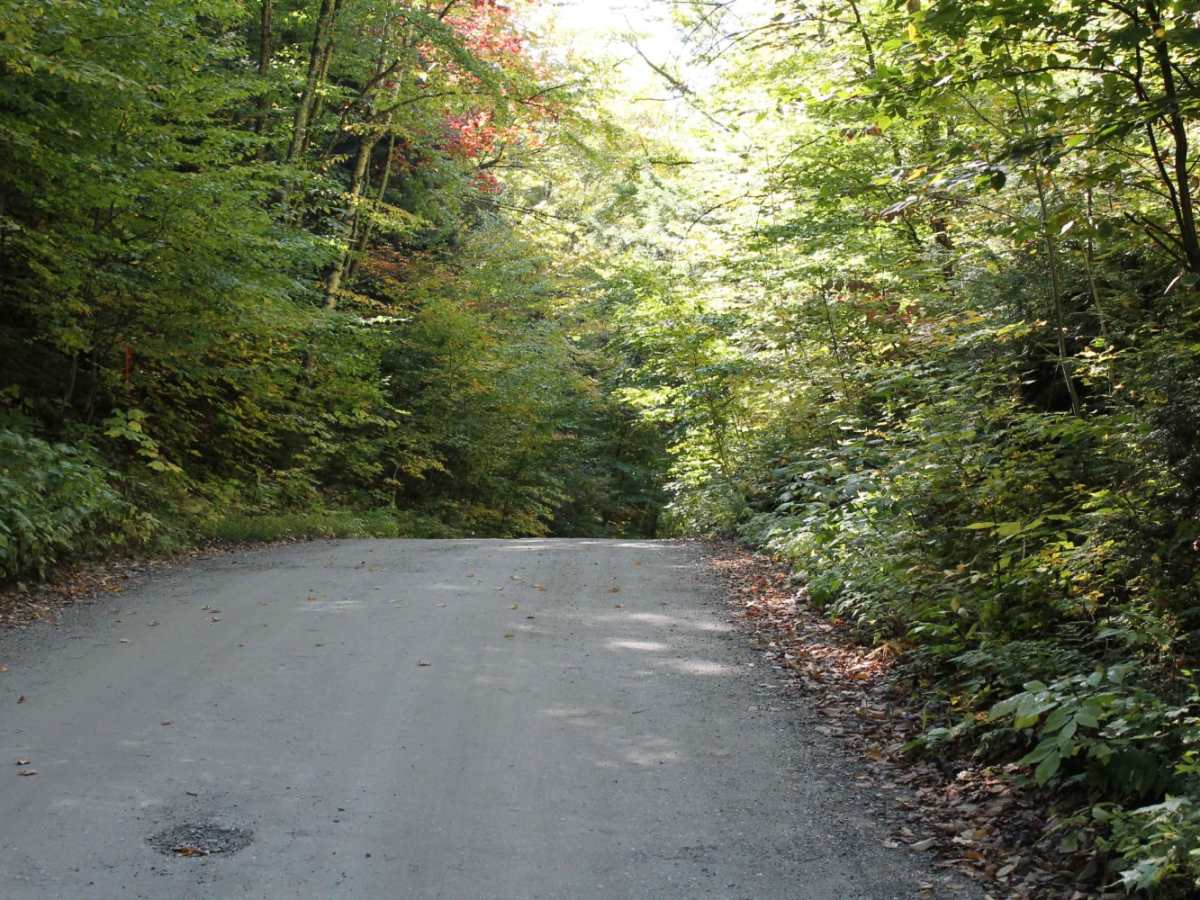 Explore Vermont photo 6