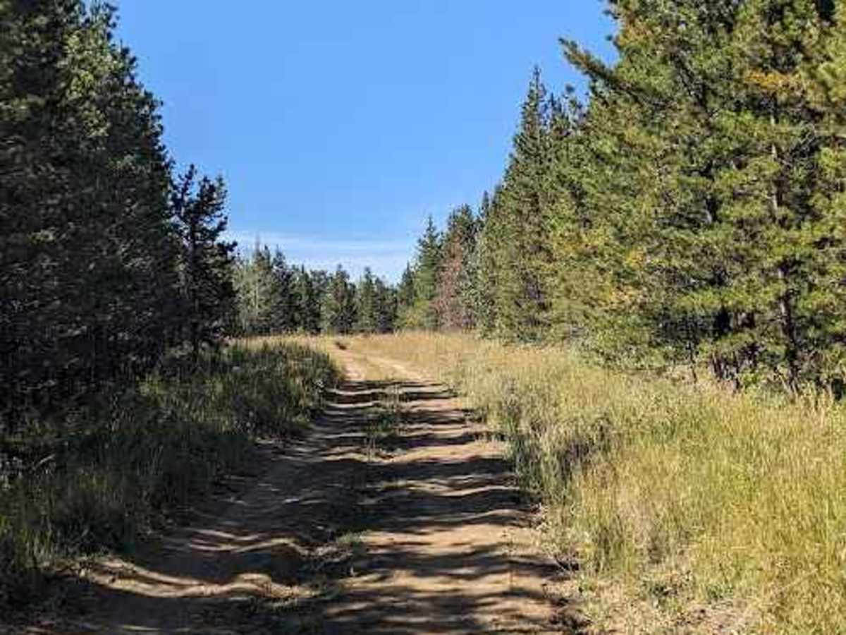 Porcupine Hills Trail  32 photo 2