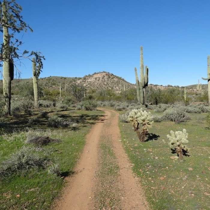 Near Escondido Trail