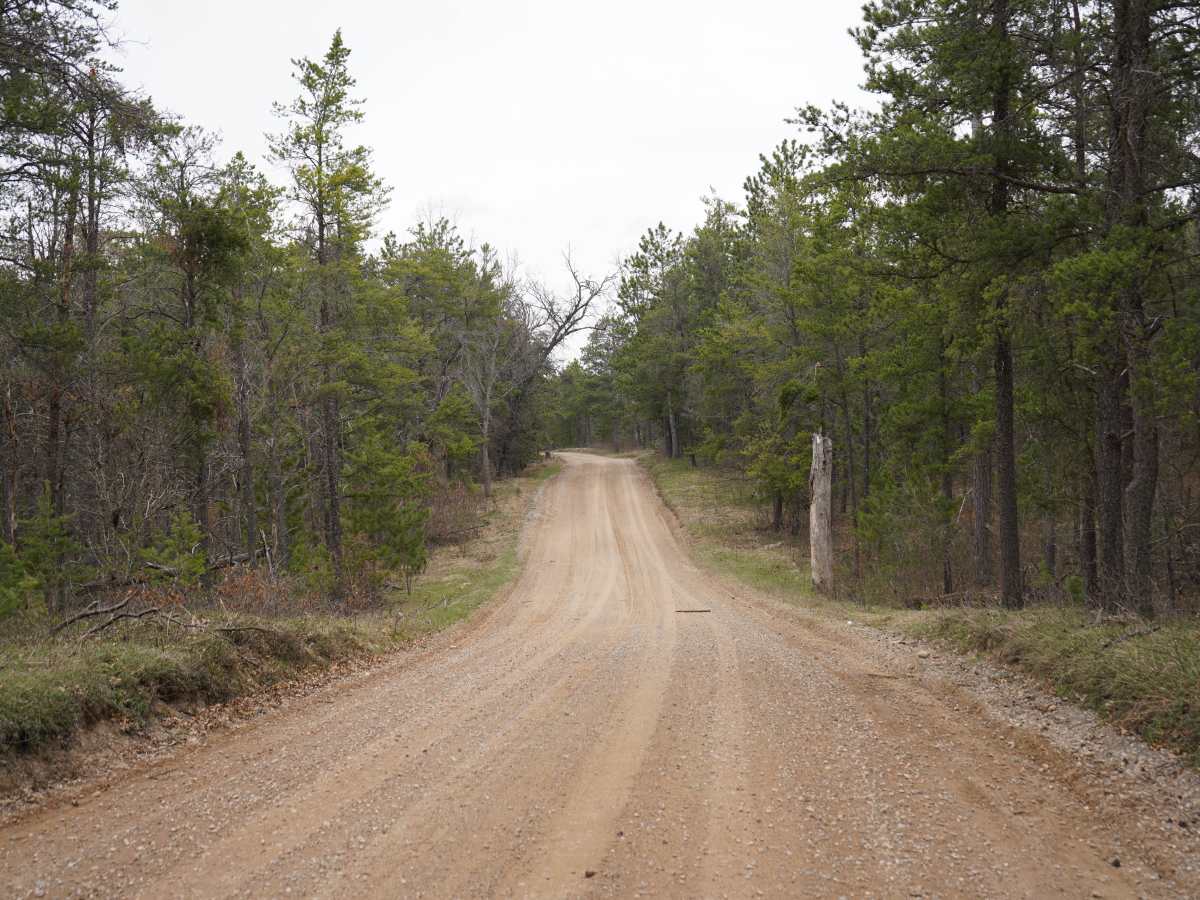 Watson Road trail photo