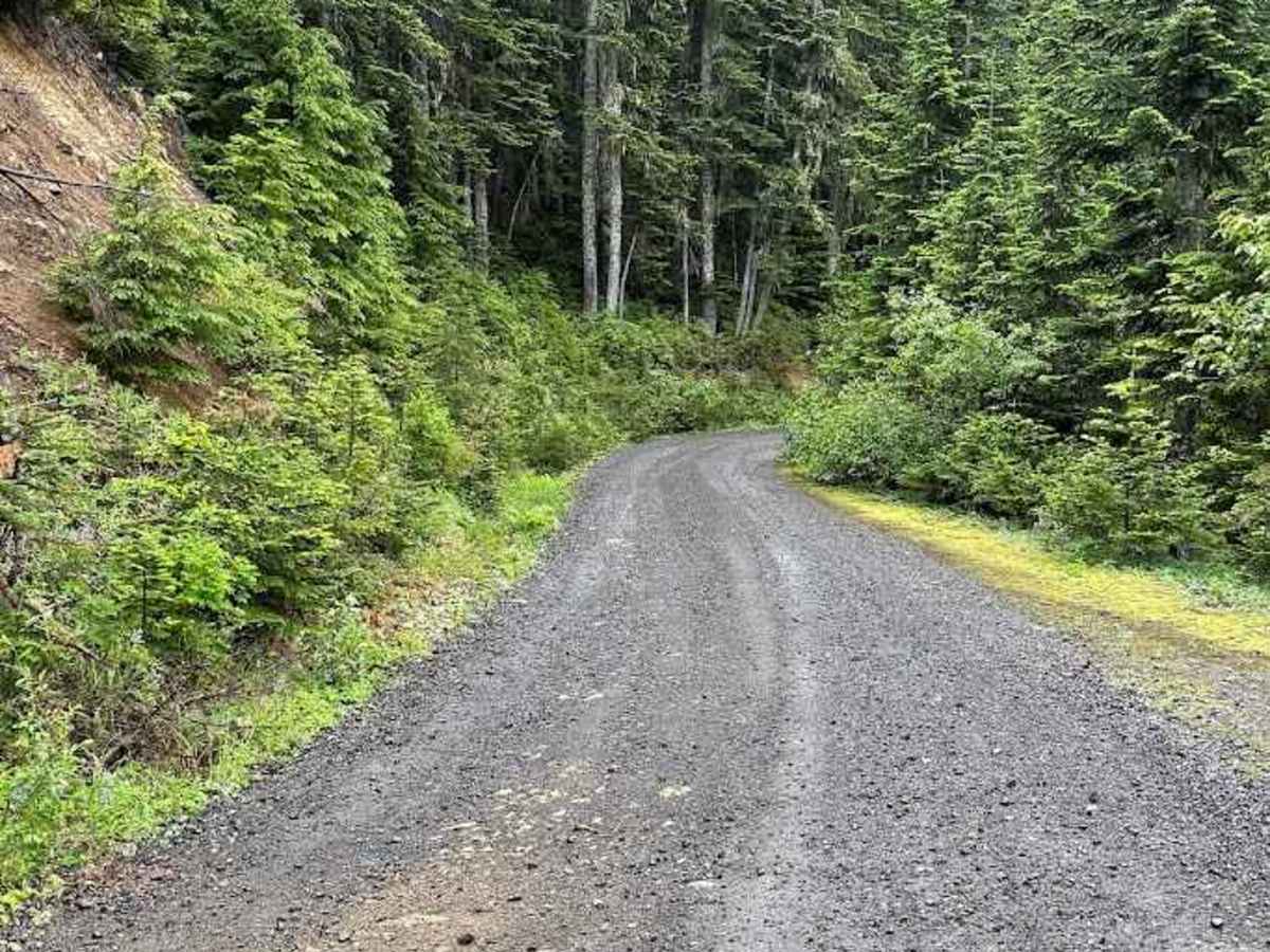 Stampede Ridge - FS 5400 trail photo