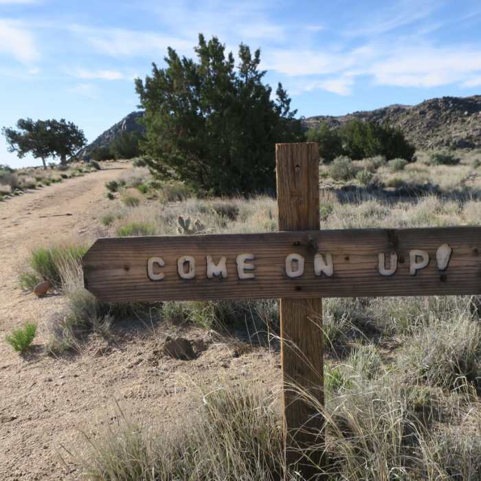 Near Rock Springs Loop