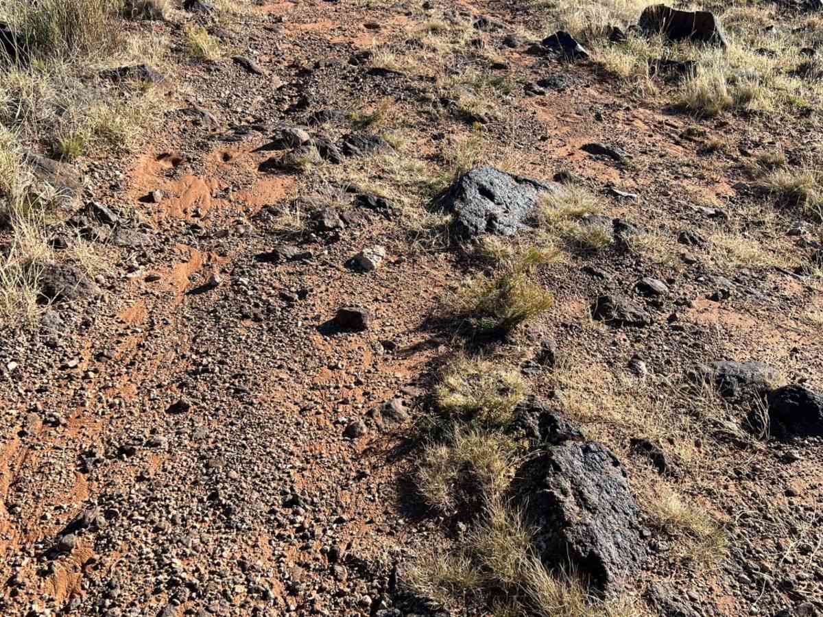 Mokaac Mountain photo 4