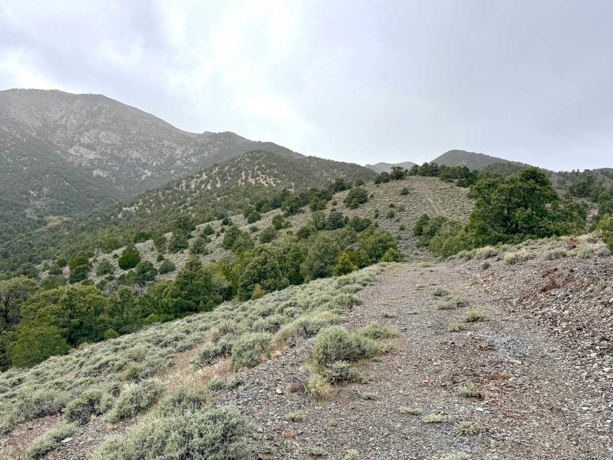 South Lowboy Mine FS43245 photo 6