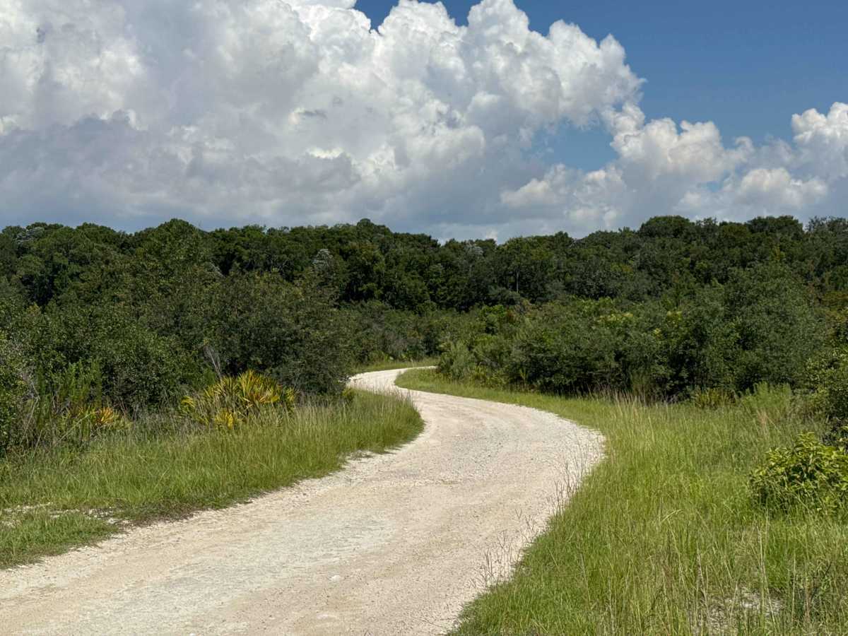 North Road trail photo