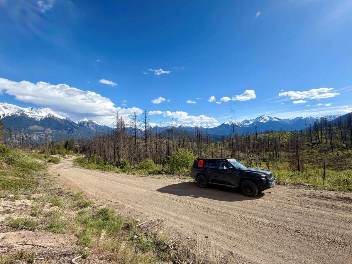 Slim Creek FSR trail photo